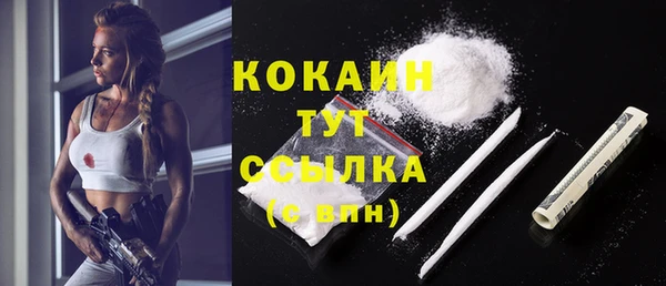 сатива Белокуриха