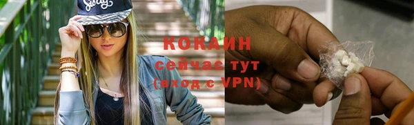 сатива Белокуриха
