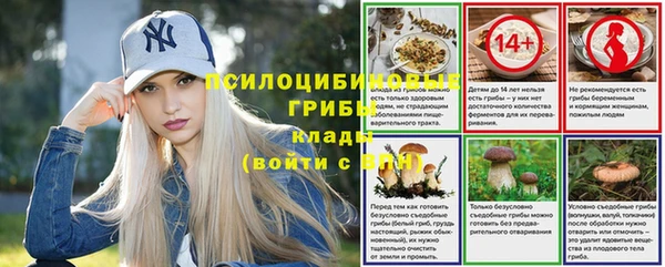 сатива Белокуриха