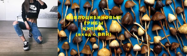 сатива Белокуриха