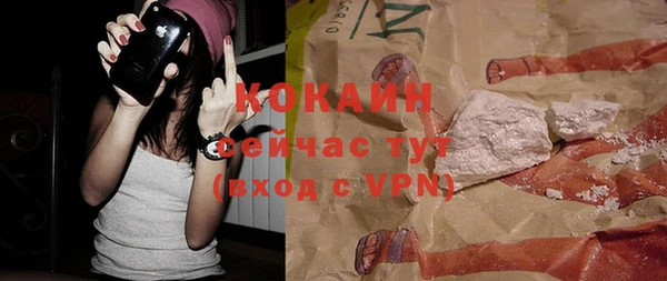 сатива Белокуриха