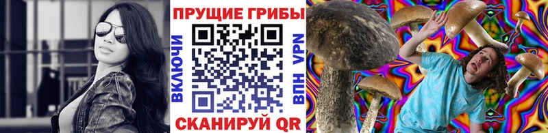 Псилоцибиновые грибы мухоморы  Волгореченск 